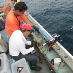 大進丸(愛知) 釣果