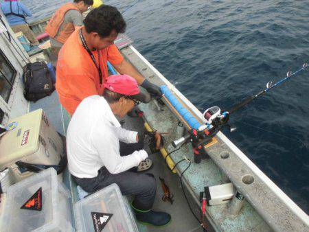 大進丸(愛知) 釣果