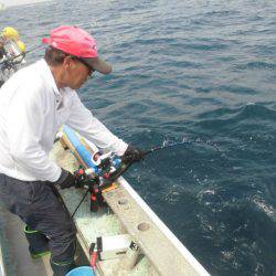大進丸(愛知) 釣果