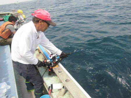 大進丸(愛知) 釣果