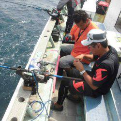 大進丸(愛知) 釣果