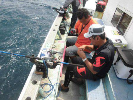 大進丸(愛知) 釣果