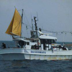 大進丸(愛知) 釣果