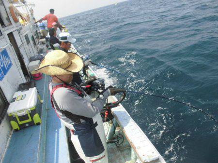 大進丸(愛知) 釣果