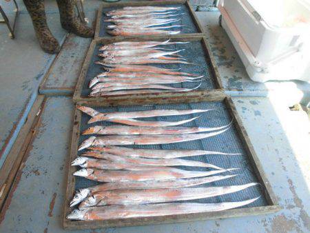 大進丸（愛知） 釣果