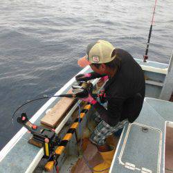 大進丸(愛知) 釣果