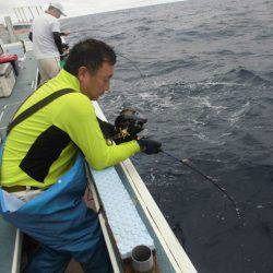 大進丸(愛知) 釣果