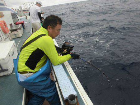大進丸(愛知) 釣果