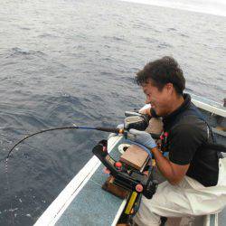 大進丸(愛知) 釣果