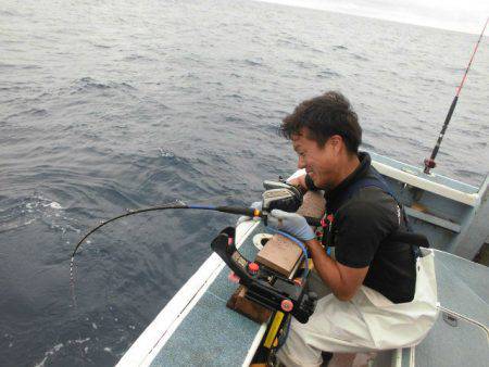 大進丸(愛知) 釣果