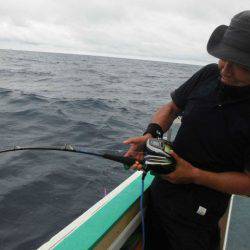 大進丸(愛知) 釣果