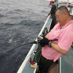 大進丸(愛知) 釣果