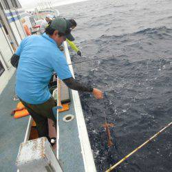 大進丸(愛知) 釣果
