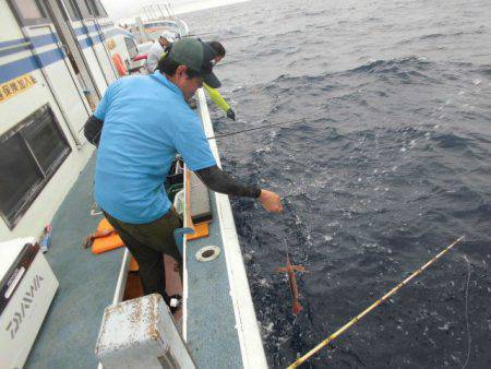 大進丸(愛知) 釣果
