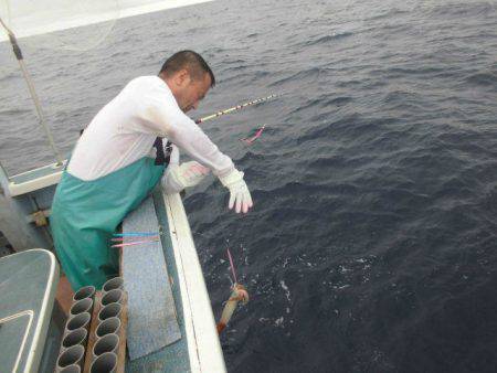 大進丸(愛知) 釣果