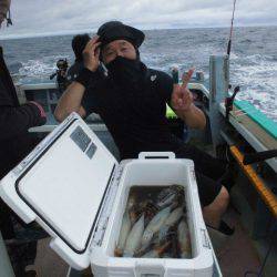 大進丸(愛知) 釣果
