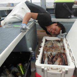 大進丸(愛知) 釣果