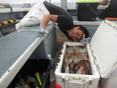 大進丸(愛知) 釣果