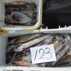 大進丸(愛知) 釣果