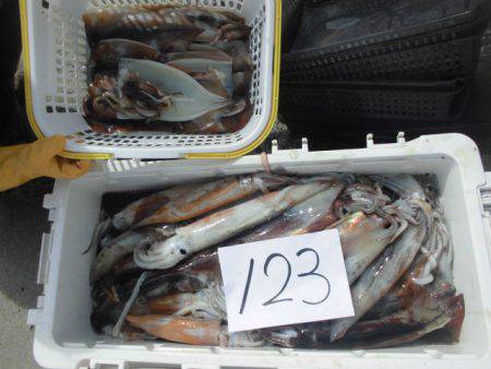 大進丸(愛知) 釣果