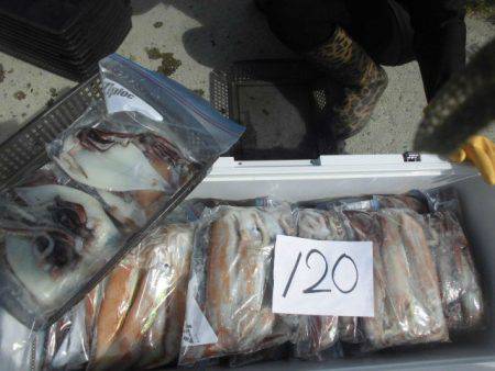 大進丸(愛知) 釣果