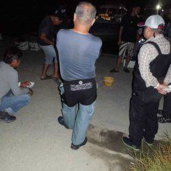 大進丸(愛知) 釣果