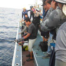 大進丸(愛知) 釣果