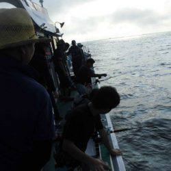 大進丸(愛知) 釣果