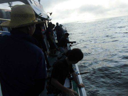 大進丸(愛知) 釣果