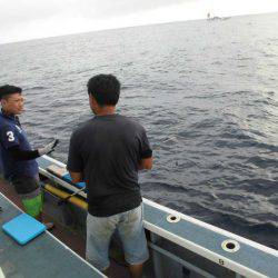 大進丸(愛知) 釣果