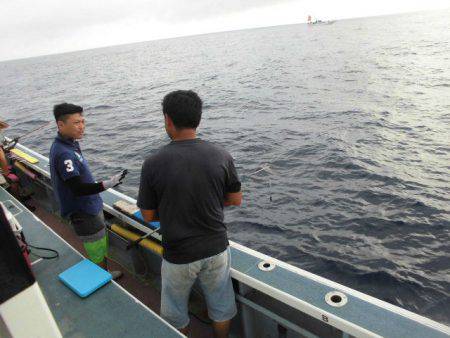 大進丸(愛知) 釣果