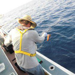 大進丸(愛知) 釣果