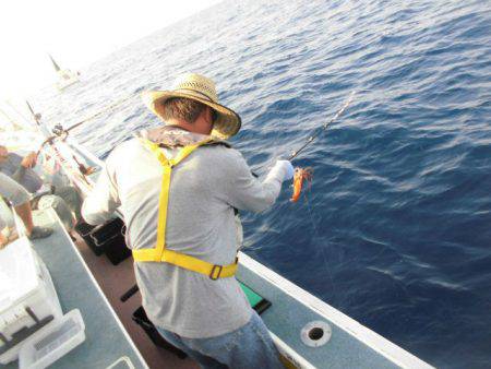 大進丸(愛知) 釣果