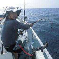 大進丸(愛知) 釣果