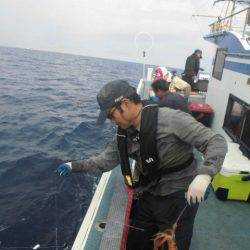 大進丸(愛知) 釣果