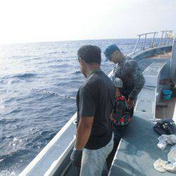 大進丸(愛知) 釣果