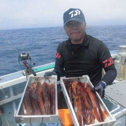 大進丸(愛知) 釣果