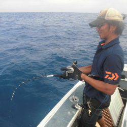 大進丸(愛知) 釣果