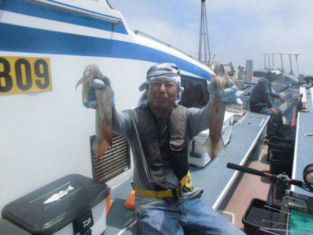 大進丸(愛知) 釣果