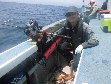 大進丸(愛知) 釣果