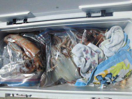 大進丸(愛知) 釣果