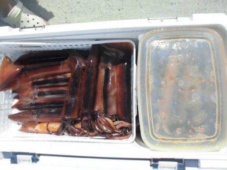 大進丸(愛知) 釣果