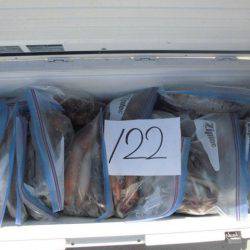 大進丸(愛知) 釣果