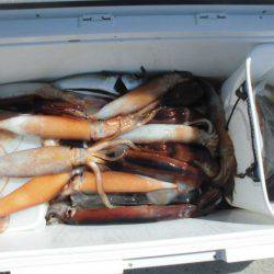 大進丸(愛知) 釣果