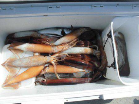 大進丸(愛知) 釣果