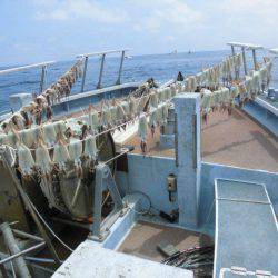 大進丸（愛知） 釣果