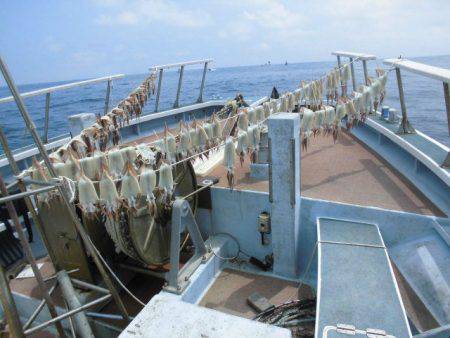 大進丸（愛知） 釣果