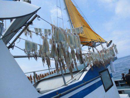 大進丸（愛知） 釣果