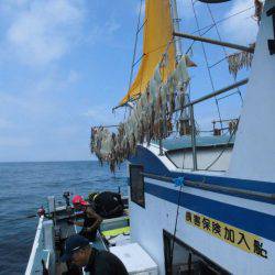 大進丸（愛知） 釣果