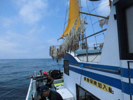 大進丸（愛知） 釣果
